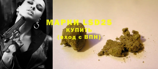 стафф Вяземский
