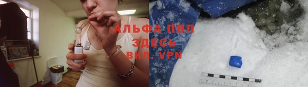 стафф Вяземский