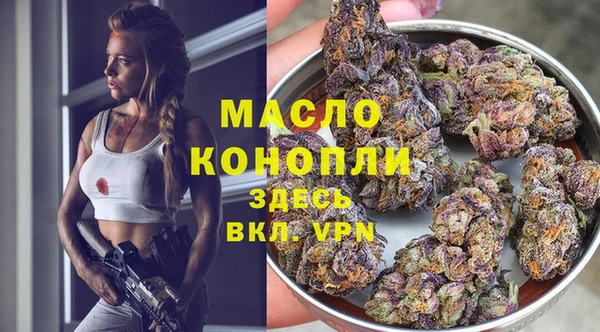 стафф Вяземский