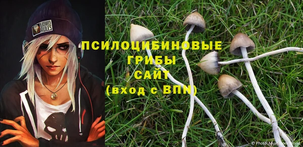 не бодяженный Бугульма